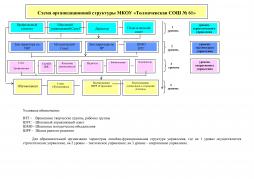 Схема организационной структуры МКОУ "Толмачевская СОШ № 61"